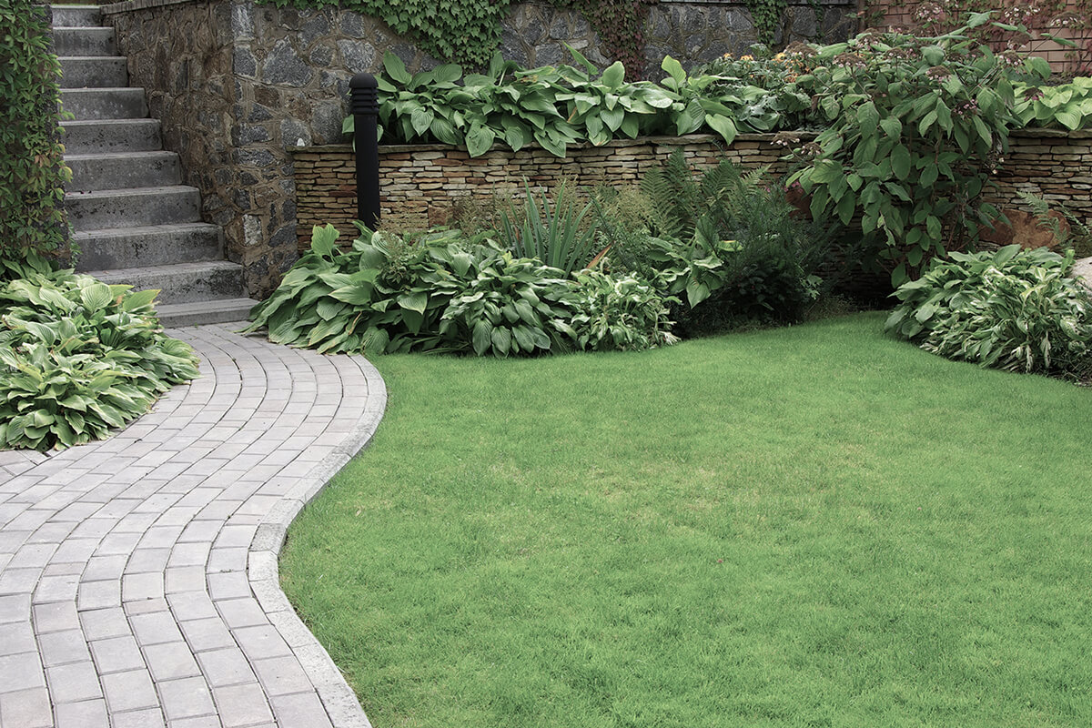 Welcome to Professional Landscaping